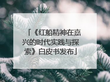 《红船精神在嘉兴的时代实践与探索》白皮书发布