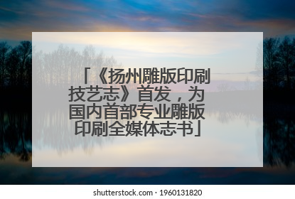 《扬州雕版印刷技艺志》首发，为国内首部专业雕版印刷全媒体志书