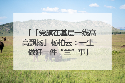 「党旗在基层一线高高飘扬」杨柏云：一生做好一件“兰”事