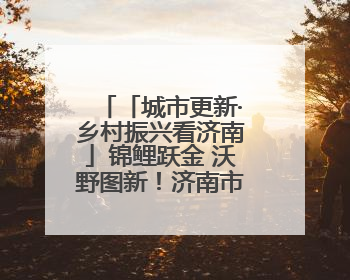 「城市更新·乡村振兴看济南」锦鲤跃金 沃野图新！济南市长清区：小锦鲤大产业 游出农旅新风景