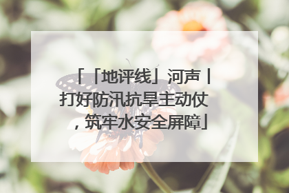 「地评线」河声丨打好防汛抗旱主动仗，筑牢水安全屏障