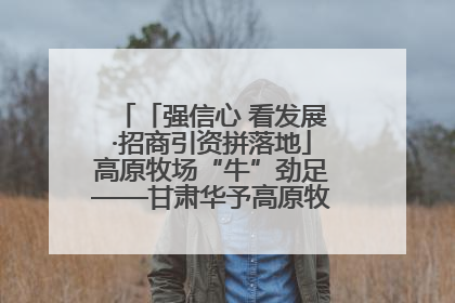 「强信心 看发展·招商引资拼落地」高原牧场“牛”劲足——甘肃华予高原牧场高标准奶牛肉牛养殖项目一线见闻