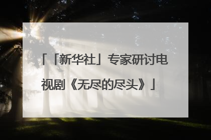 「新华社」专家研讨电视剧《无尽的尽头》