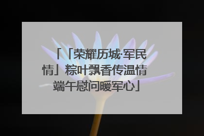 「荣耀历城·军民情」粽叶飘香传温情 端午慰问暖军心