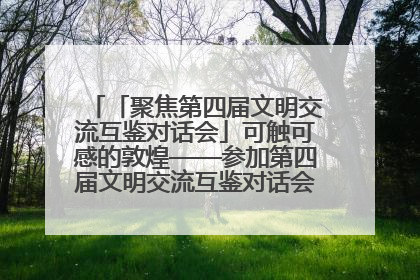 「聚焦第四届文明交流互鉴对话会」可触可感的敦煌——参加第四届文明交流互鉴对话会的外宾参观上元市集