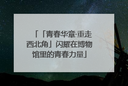 「青春华章·重走西北角」闪耀在博物馆里的青春力量