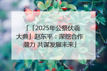 「2025年公祭伏羲大典」赵东平：深挖合作潜力 共谋发展未来