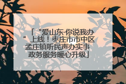 “爱山东·你说我办”上线！枣庄市市中区孟庄镇听民声办实事 政务服务暖心升级