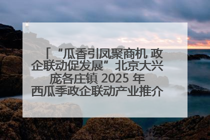 “瓜香引凤聚商机 政企联动促发展”北京大兴庞各庄镇 2025 年西瓜季政企联动产业推介活动圆满举行