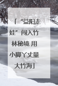 “益阳走娃”闯入竹林秘境 用小脚丫丈量大竹海