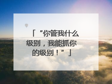 “你管我什么级别，我能抓你的级别！”