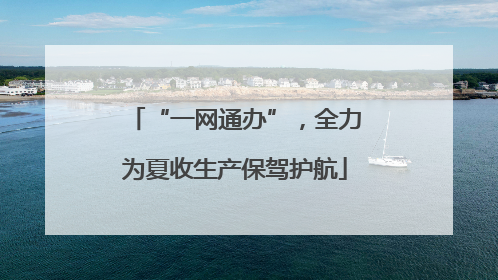 “一网通办”，全力为夏收生产保驾护航