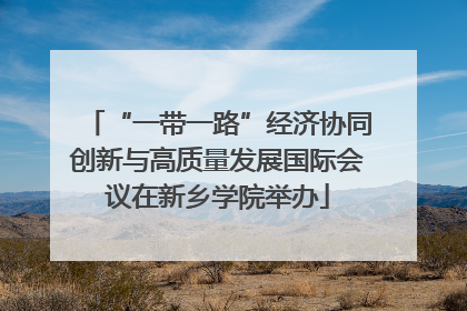 “一带一路”经济协同创新与高质量发展国际会议在新乡学院举办