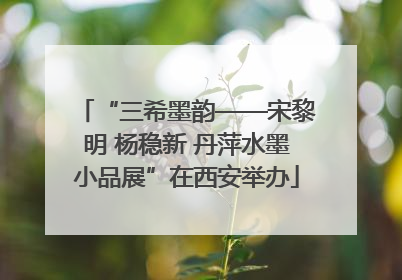 “三希墨韵——宋黎明 杨稳新 丹萍水墨小品展”在西安举办