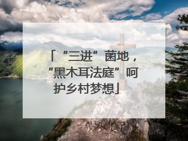“三进”菌地，“黑木耳法庭”呵护乡村梦想