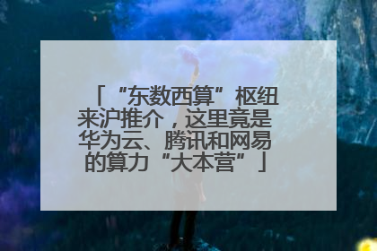 “东数西算”枢纽来沪推介，这里竟是华为云、腾讯和网易的算力“大本营”
