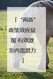“两新”政策效应显现 有效激发内需潜力