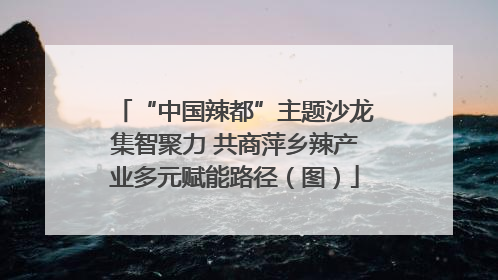“中国辣都”主题沙龙集智聚力 共商萍乡辣产业多元赋能路径（图）
