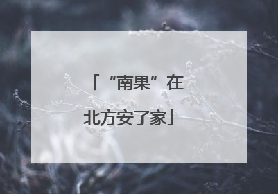 “南果”在北方安了家