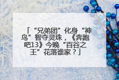 “兄弟团”化身“神鸟”智夺灵珠，《奔跑吧13》今晚“百谷之王”花落谁家？