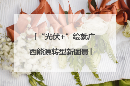 “光伏+”绘就广西能源转型新图景