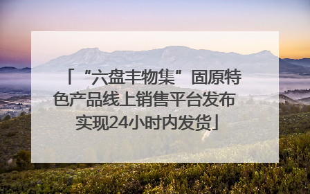 “六盘丰物集”固原特色产品线上销售平台发布 实现24小时内发货