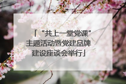 “共上一堂党课”主题活动暨党建品牌建设座谈会举行