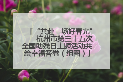 “共赴一场好春光”——杭州市第三十五次全国助残日主题活动共绘幸福答卷（组图）