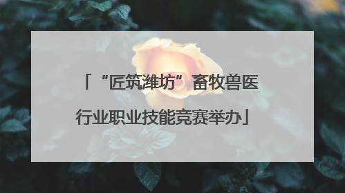 “匠筑潍坊”畜牧兽医行业职业技能竞赛举办