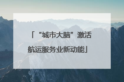 “城市大脑”激活航运服务业新动能