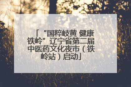 “国粹岐黄 健康铁岭”辽宁省第二届中医药文化夜市（铁岭站）启动
