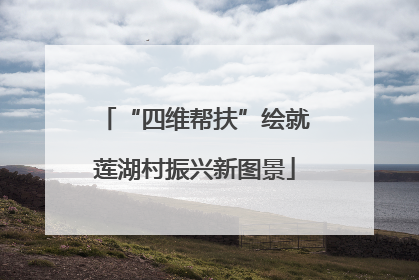 “四维帮扶”绘就莲湖村振兴新图景