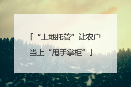 “土地托管”让农户当上“甩手掌柜”