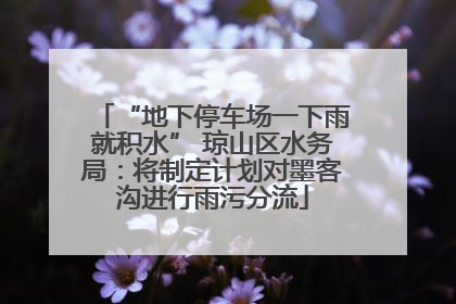 “地下停车场一下雨就积水” 琼山区水务局：将制定计划对墨客沟进行雨污分流