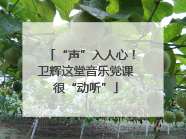 “声”入人心！卫辉这堂音乐党课很“动听”