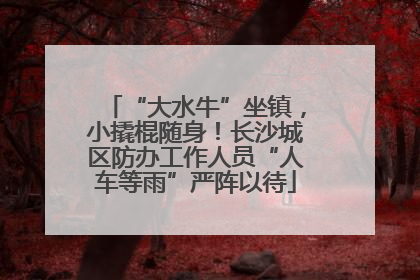 “大水牛”坐镇，小撬棍随身！长沙城区防办工作人员“人车等雨”严阵以待