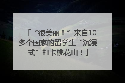 “很美丽！”来自10多个国家的留学生“沉浸式”打卡桃花山！