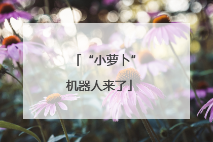 “小萝卜”机器人来了