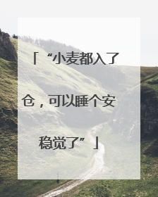 “小麦都入了仓，可以睡个安稳觉了”