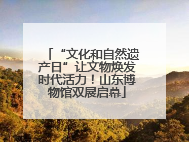 “文化和自然遗产日”让文物焕发时代活力！山东博物馆双展启幕