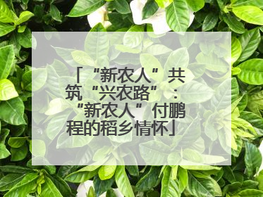 “新农人”共筑“兴农路”：“新农人”付鹏程的稻乡情怀