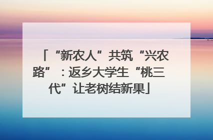 “新农人”共筑“兴农路”：返乡大学生“桃三代”让老树结新果
