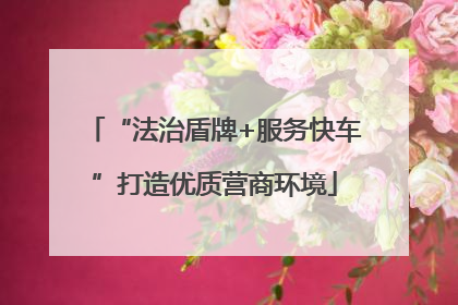 “法治盾牌+服务快车”打造优质营商环境