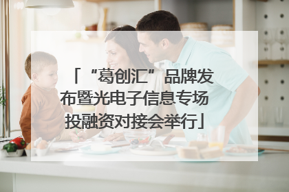 “葛创汇”品牌发布暨光电子信息专场投融资对接会举行