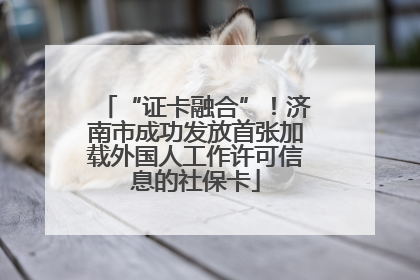“证卡融合”！济南市成功发放首张加载外国人工作许可信息的社保卡
