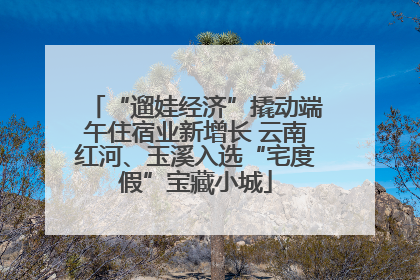 “遛娃经济”撬动端午住宿业新增长 云南红河、玉溪入选“宅度假”宝藏小城