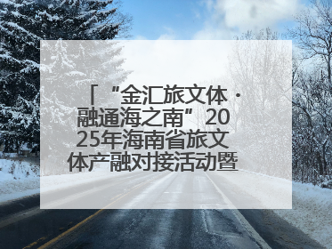“金汇旅文体・融通海之南”2025年海南省旅文体产融对接活动暨金融服务中心成立仪式举行
