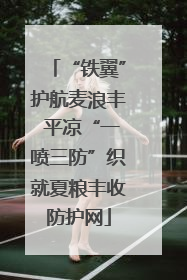 “铁翼”护航麦浪丰 平凉“一喷三防”织就夏粮丰收防护网
