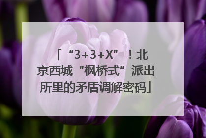 “3+3+X”！北京西城“枫桥式”派出所里的矛盾调解密码