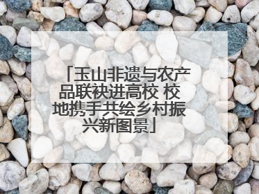 玉山非遗与农产品联袂进高校 校地携手共绘乡村振兴新图景